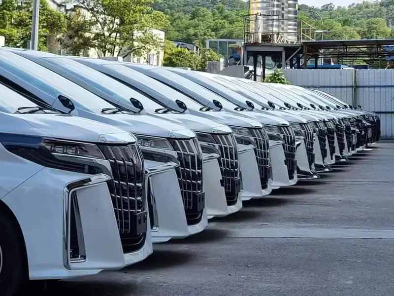 Vellfire fleet lined up